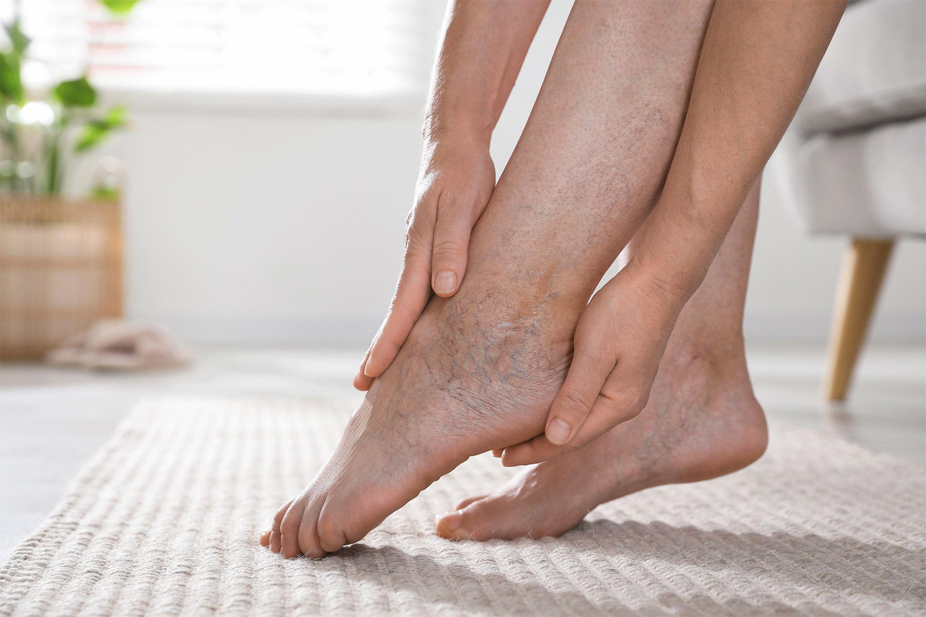 Explore las diferencias anatómicas y funcionales entre las venas del tobillo, el pie y la pierna, y aprenda cómo estas variaciones afectan la salud vascular.
